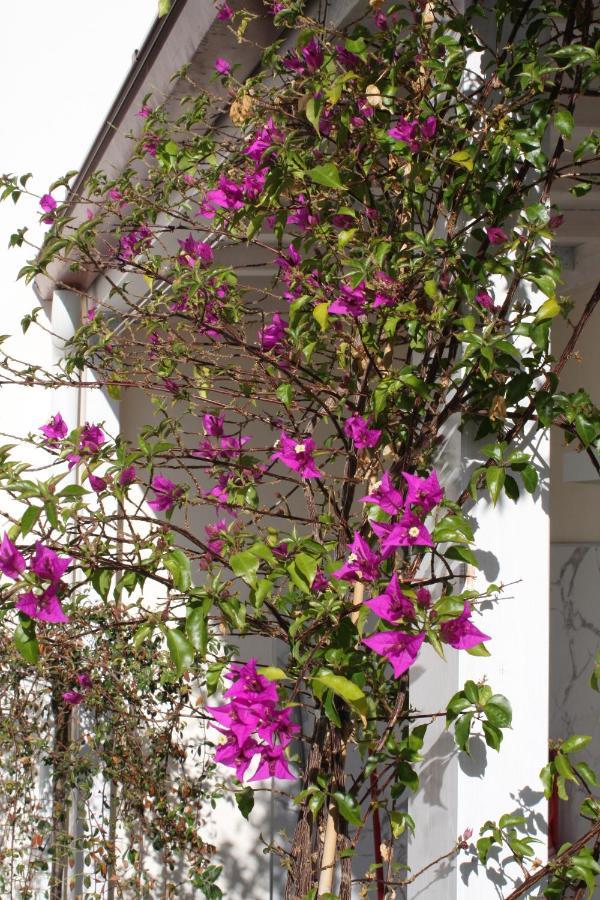 Bed and Breakfast Le Marinelle Aff Trani Exterior foto